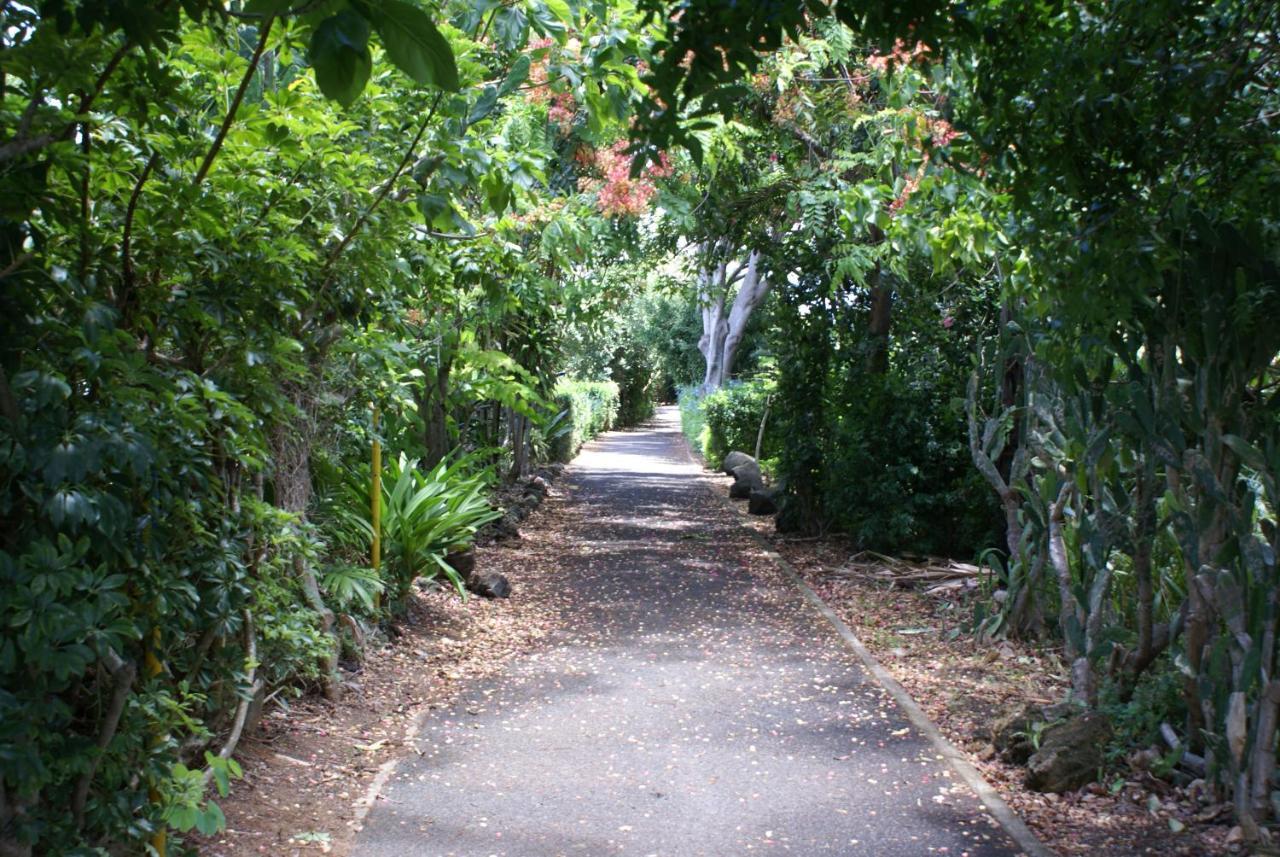 Waimea Bay Garden Bunglaow Villa Haleiwa Luaran gambar